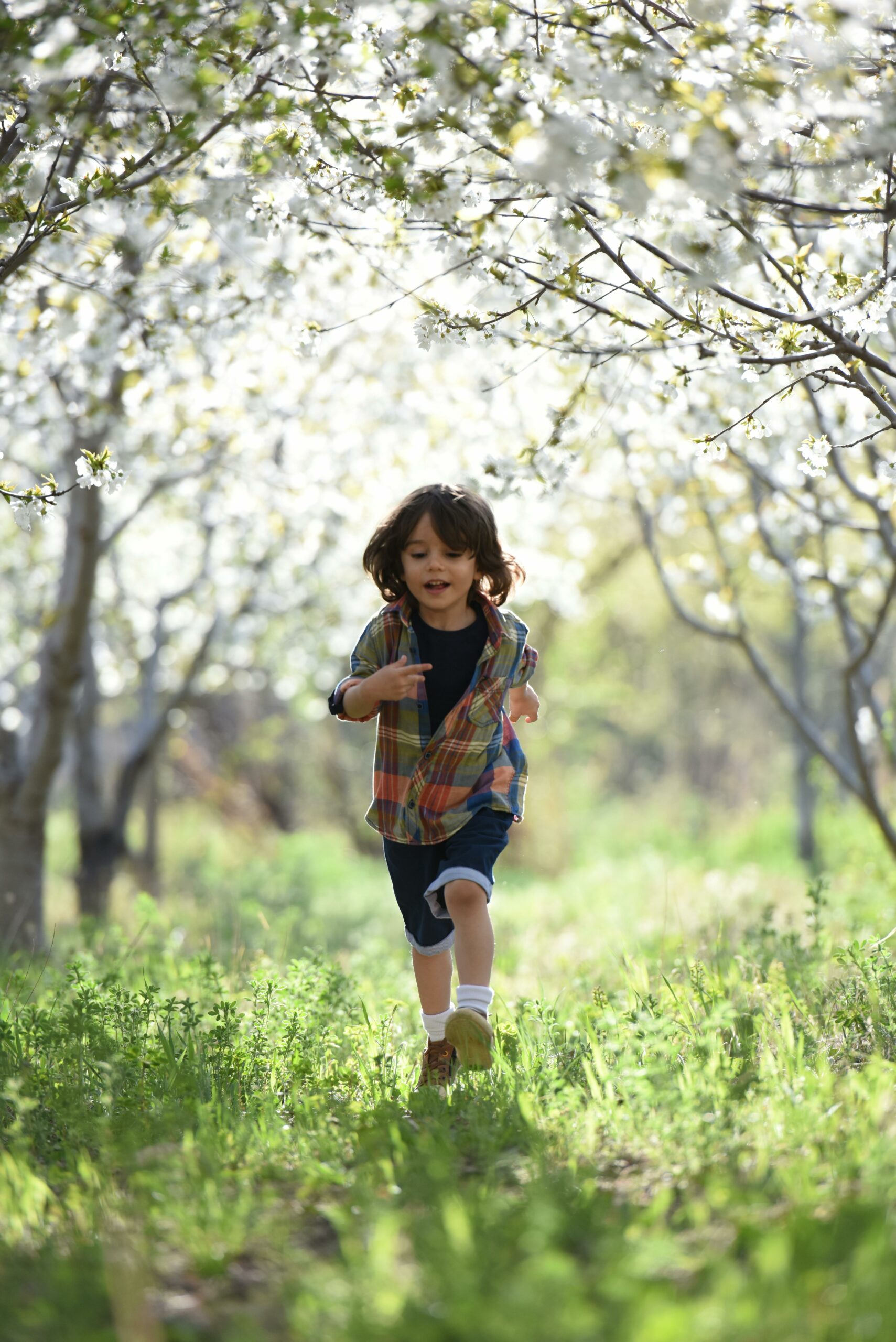 Naming Guardians for Minor Children Is a Priority for Parents