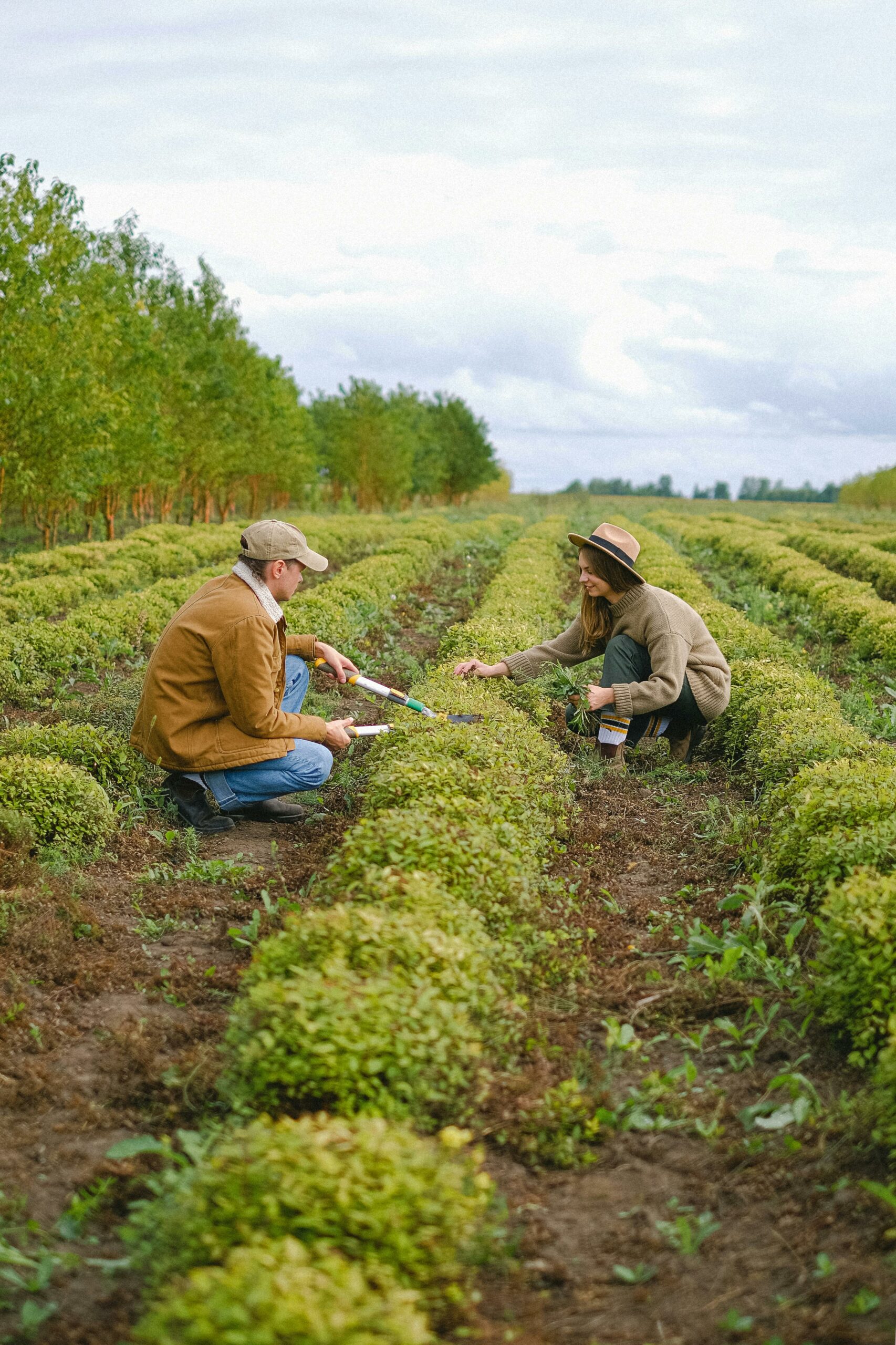 Preserving Your Legacy: Estate Planning for Landowners