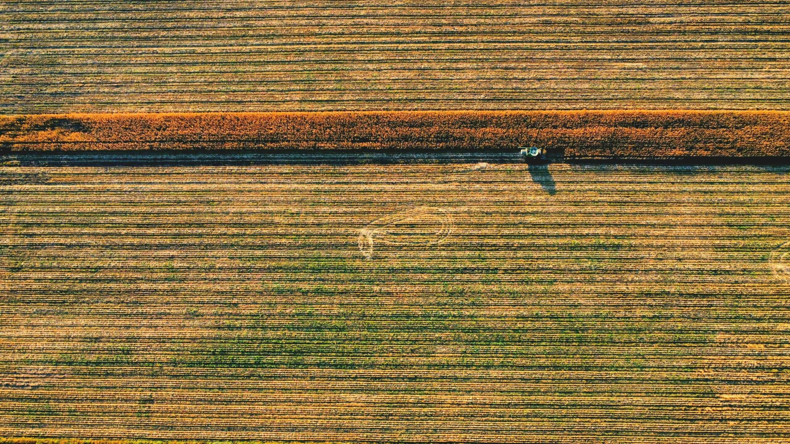 Should You Use a Disclaimer Trust to Pass Down Farmland