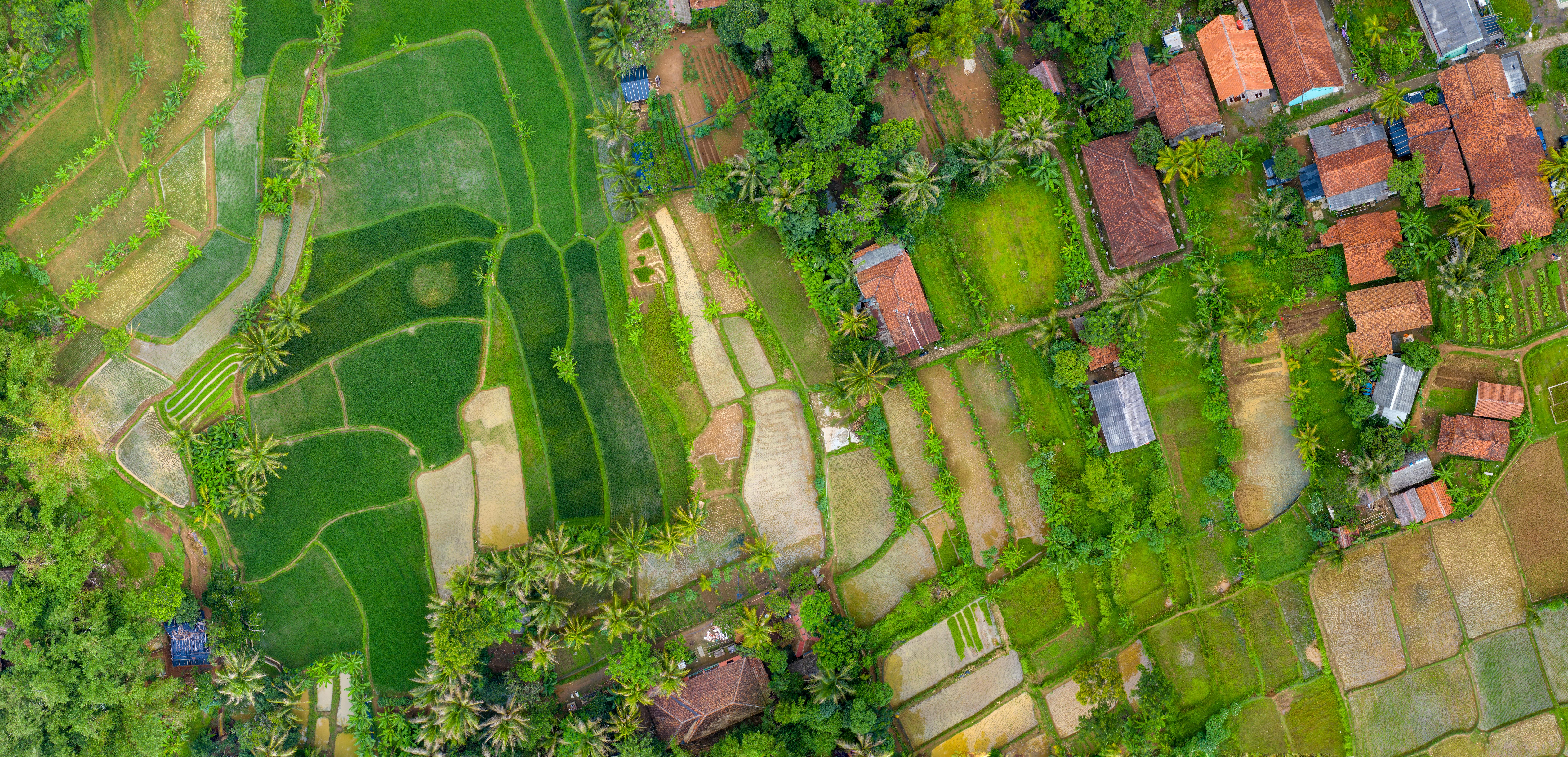 What Is a Land Trust?